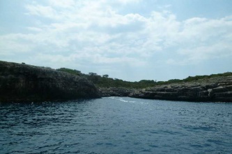 P1000803
