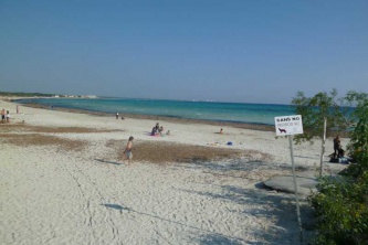 P1000960