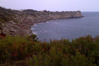 IMAG0509