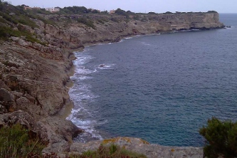IMAG0514