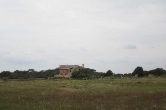 IMG_0007