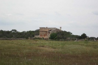 IMG_0009
